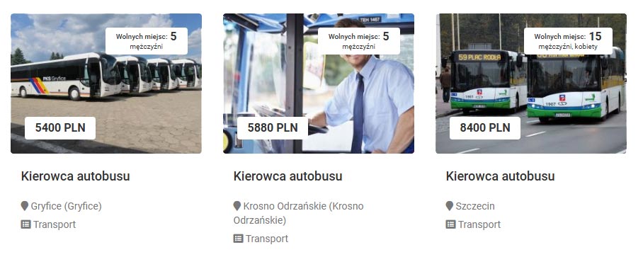 oferty pracy kierowca autobusu